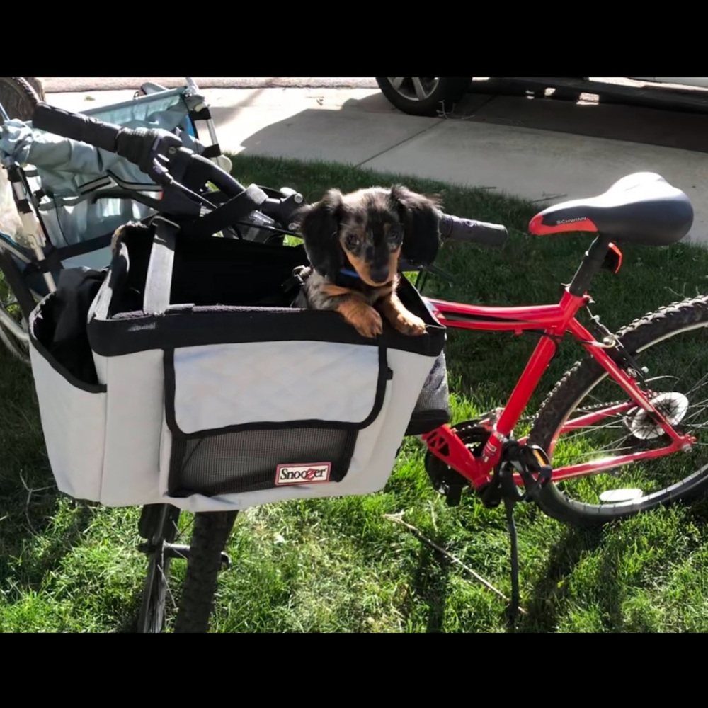 Snoozer small pet bicycle basket